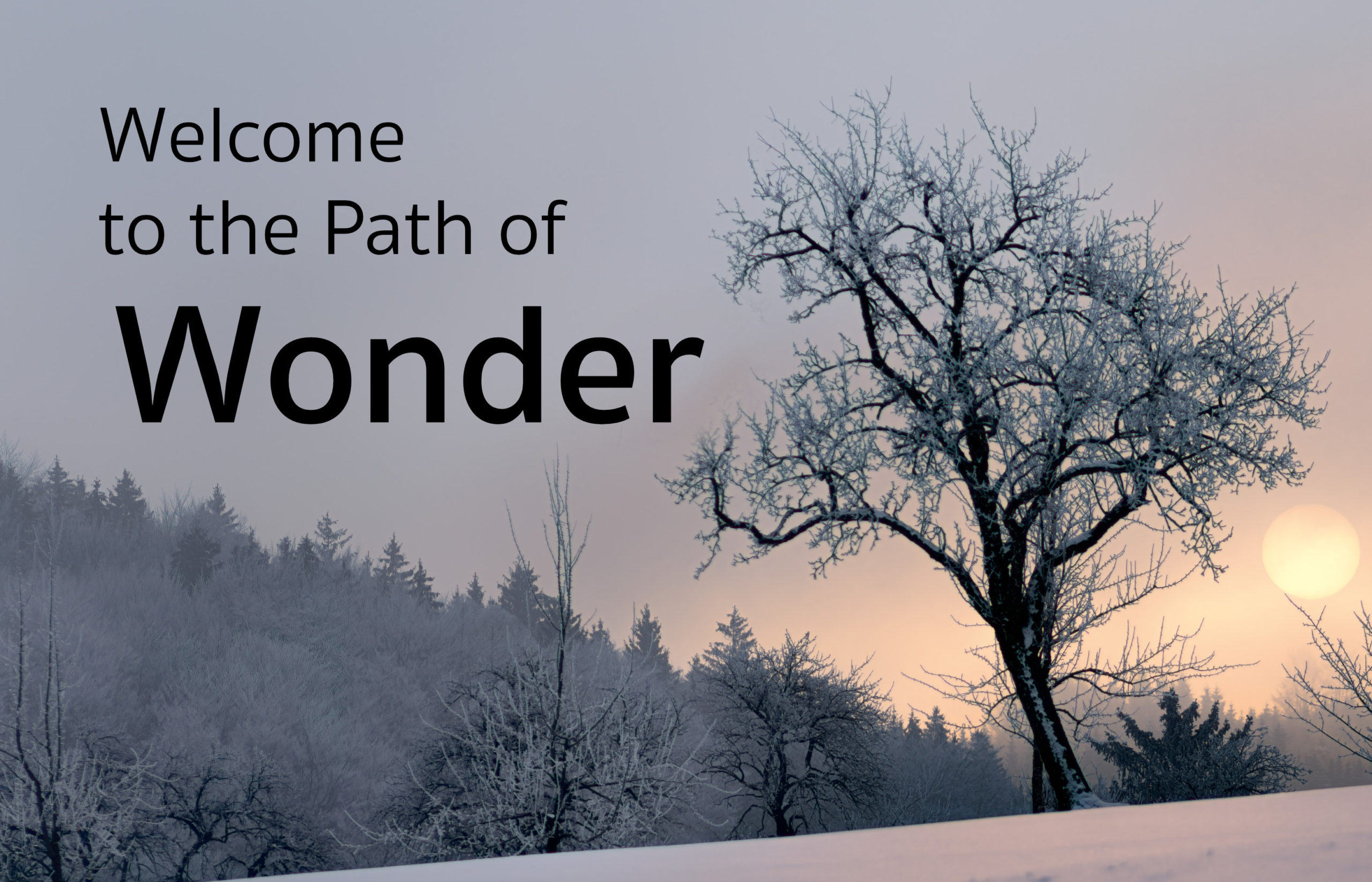 Path of Wonder